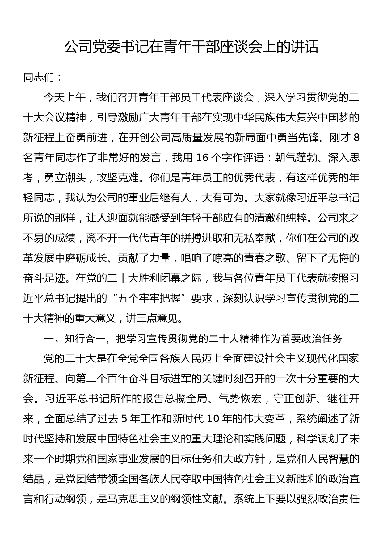 公司党委书记在青年干部座谈会上的讲话_第1页