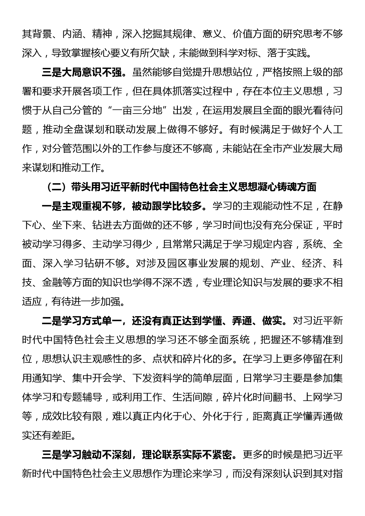 副书记2022年度党员领导干部民主生活会对照检查发言材料_第2页