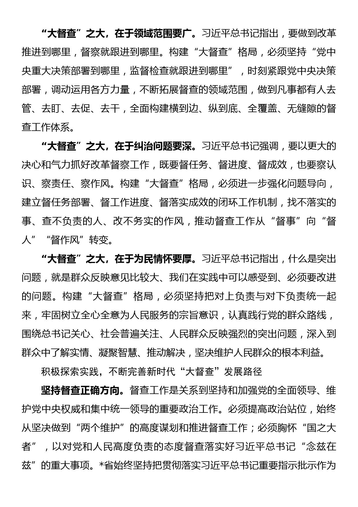 研讨发言：以大督查促大落实_第2页