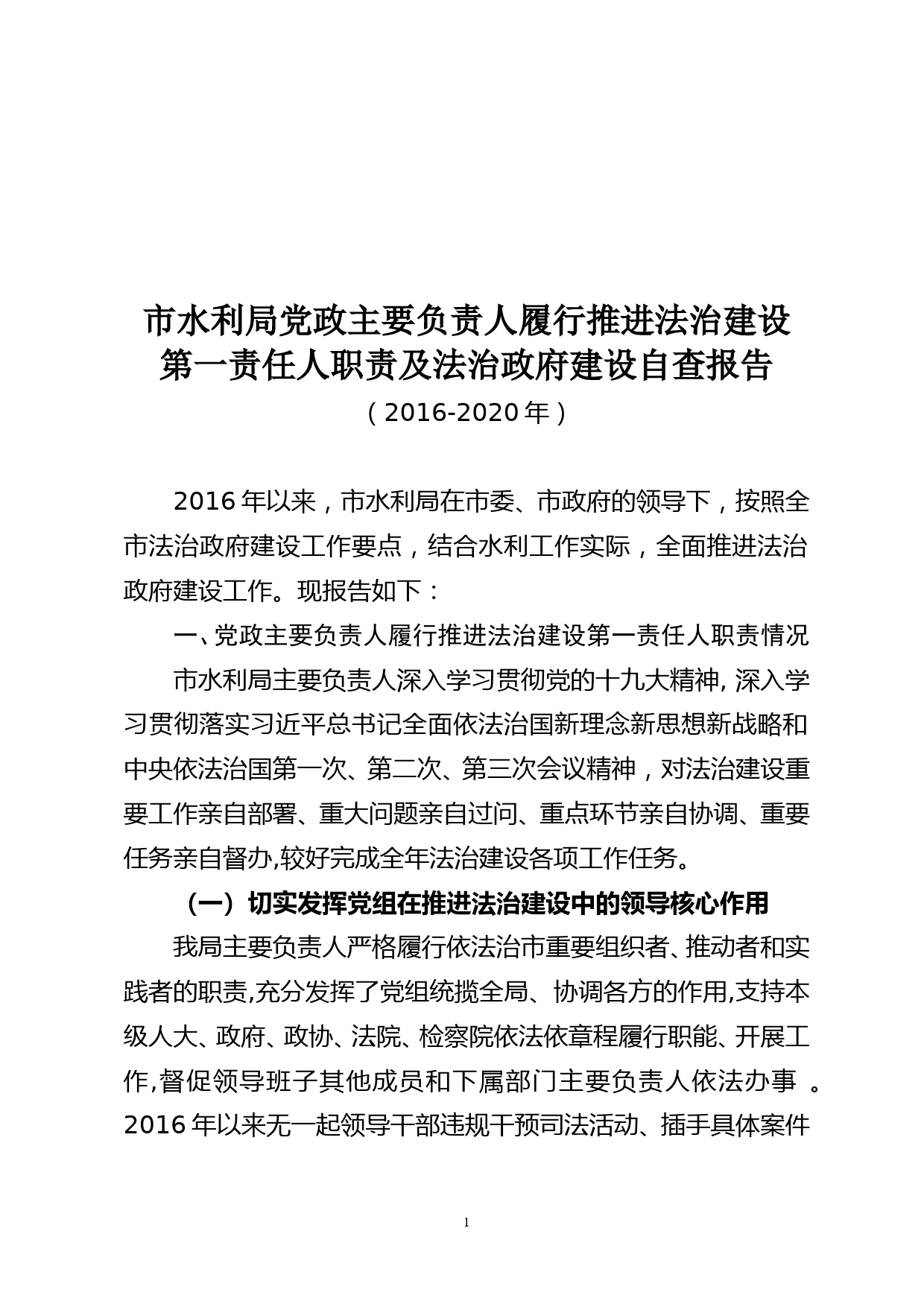 市水利局党政主要负责人履行推进法治建设第一责任人职责及法治政府建设自查报告（网络版）_第1页