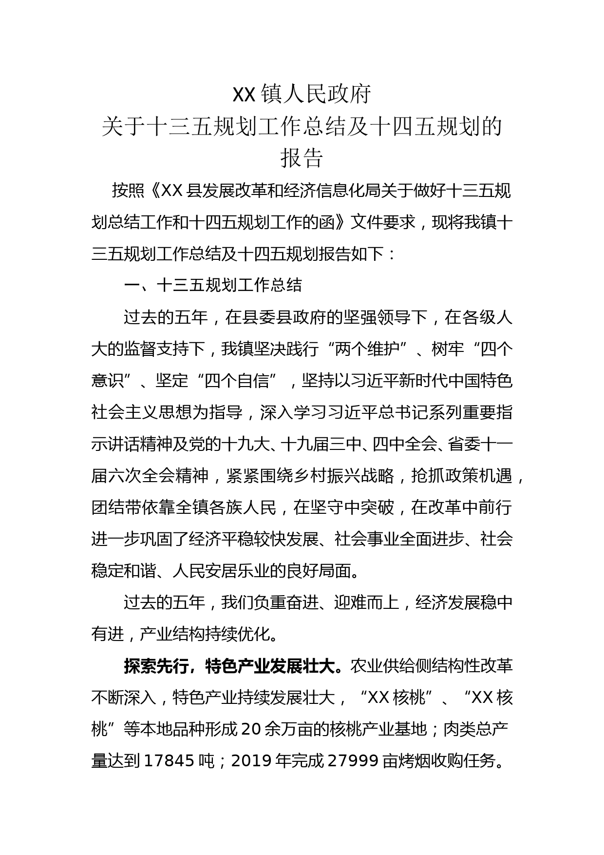 XX镇十三五规划工作总结暨十四五规划_第1页