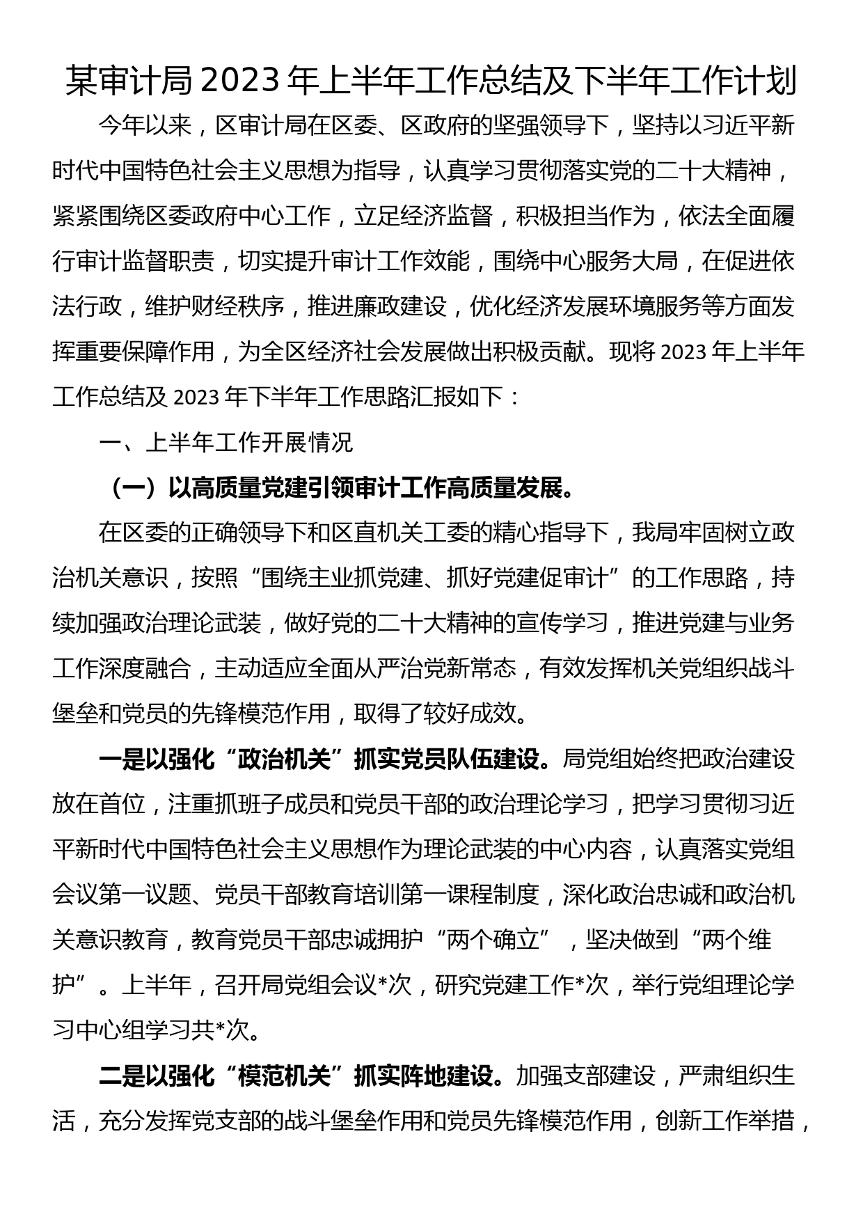 某审计局2023年上半年工作总结及下半年工作计划_第1页