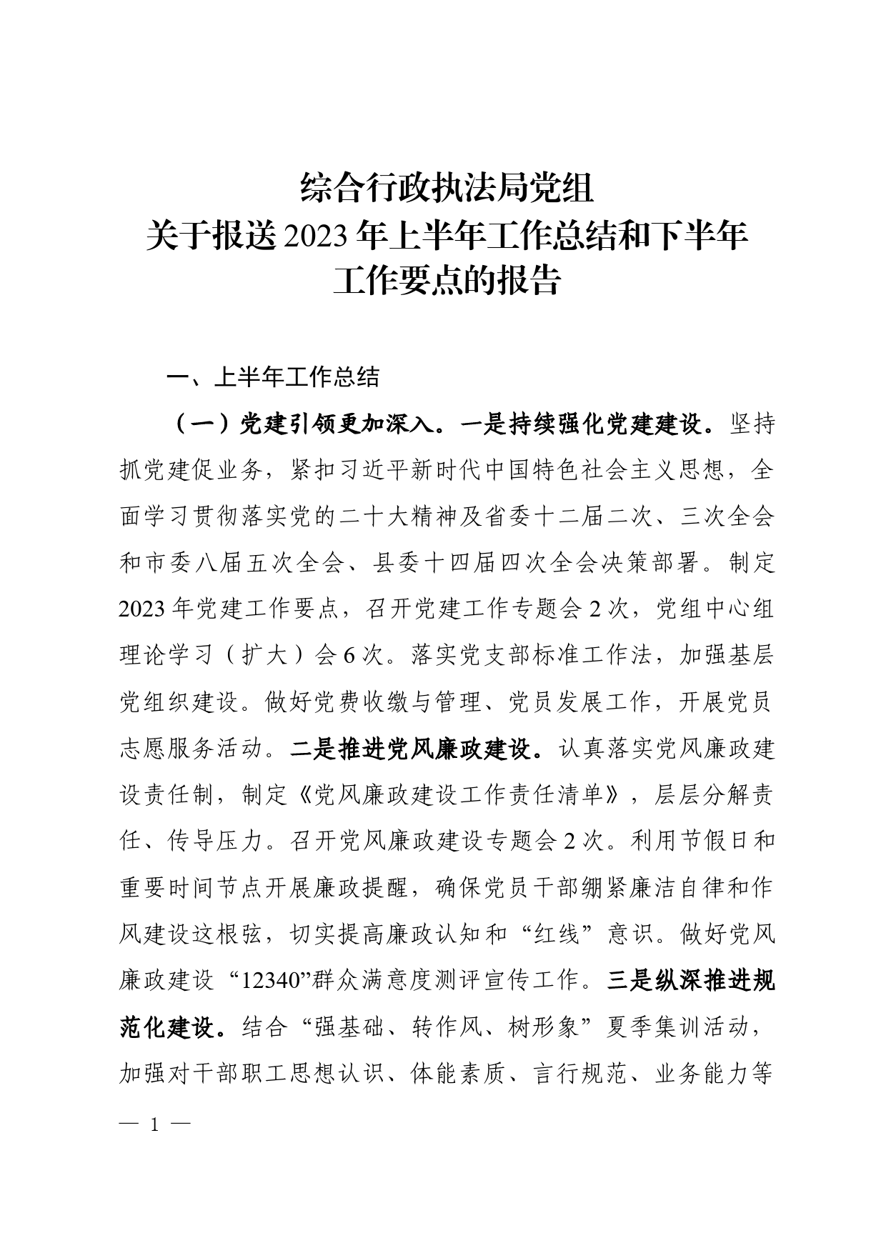 综合行政执法局党组半年总结和下半年计划_第1页