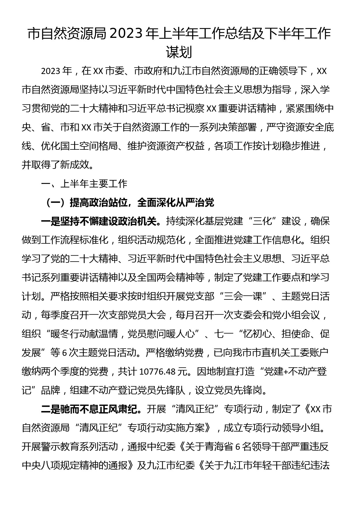 市自然资源局2023年上半年工作总结及下半年工作谋划_第1页