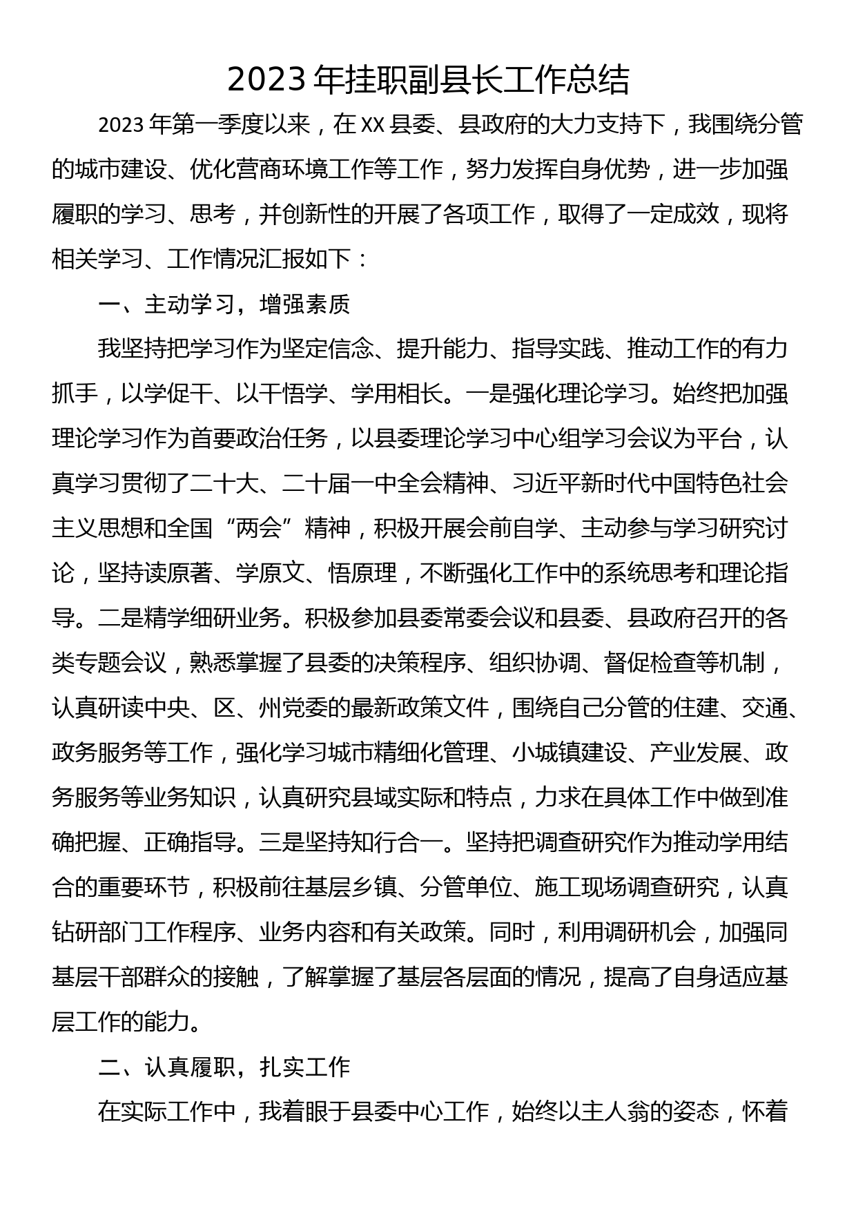 2023年挂职副县长工作总结_第1页