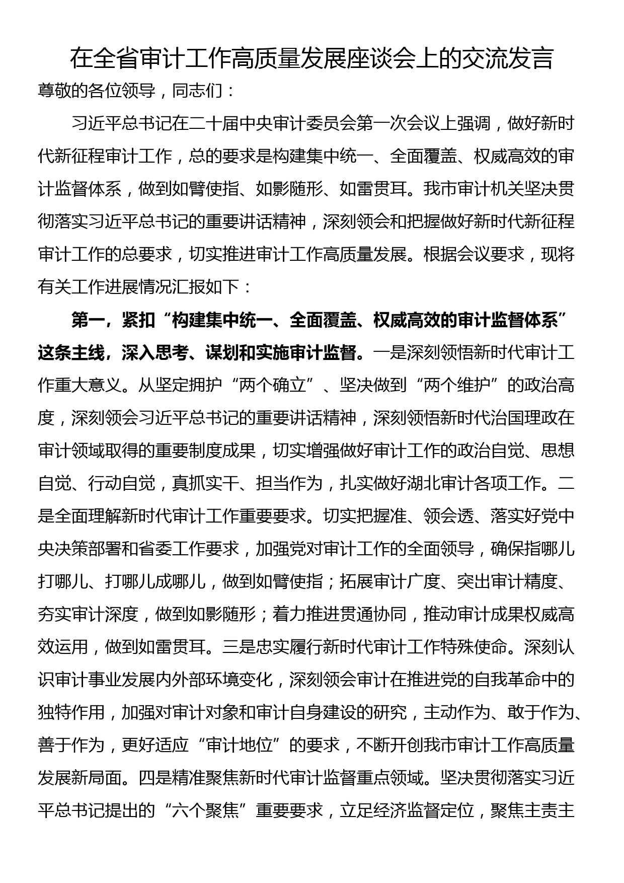 在全省审计工作高质量发展座谈会上的交流发言_第1页