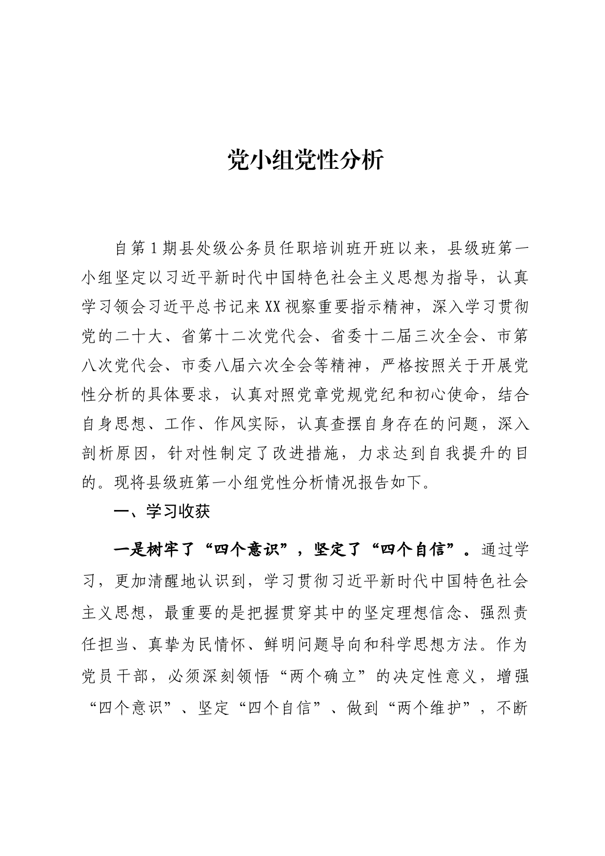 党小组党性分析报告_第1页