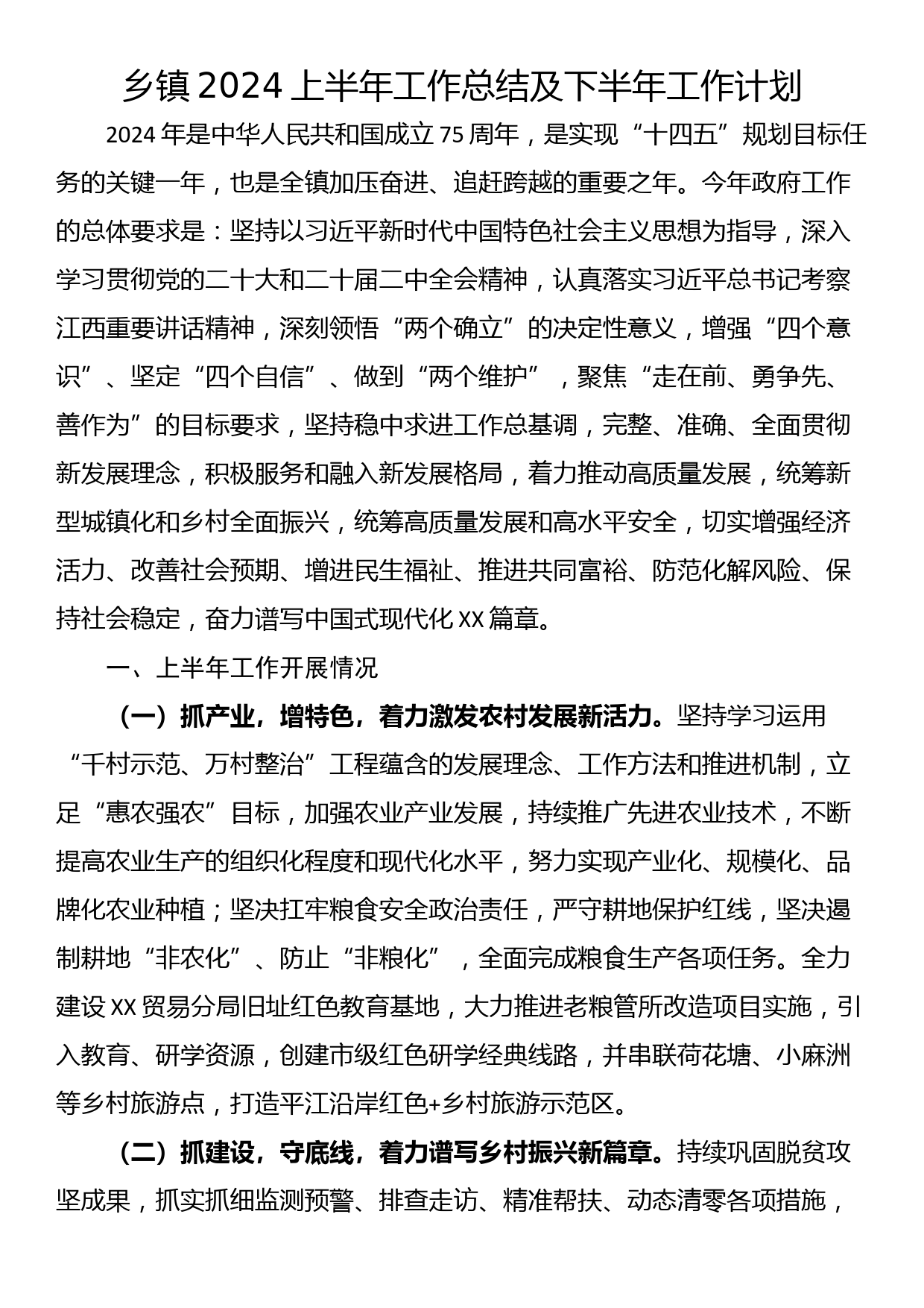 乡镇2024上半年工作总结及下半年工作计划​_第1页