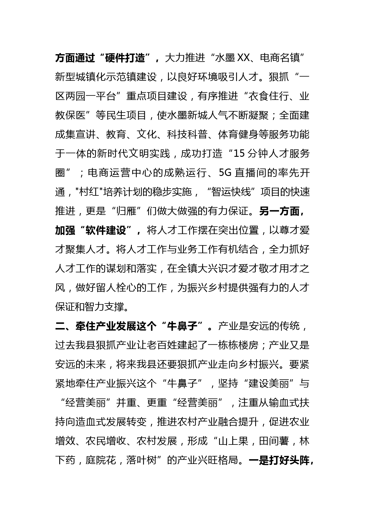 在乡村振兴工作座谈会上的发言_第2页