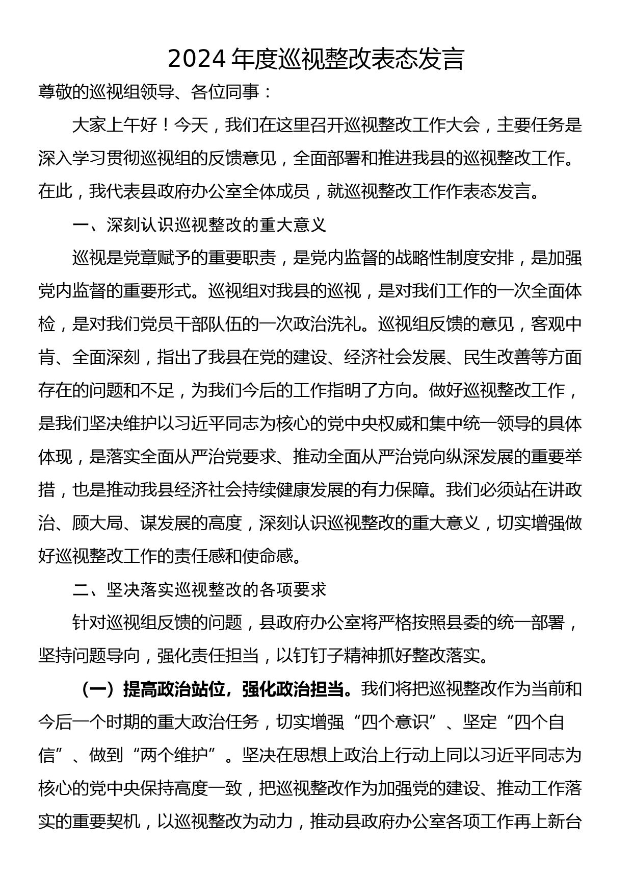 2024年度巡视整改表态发言_第1页