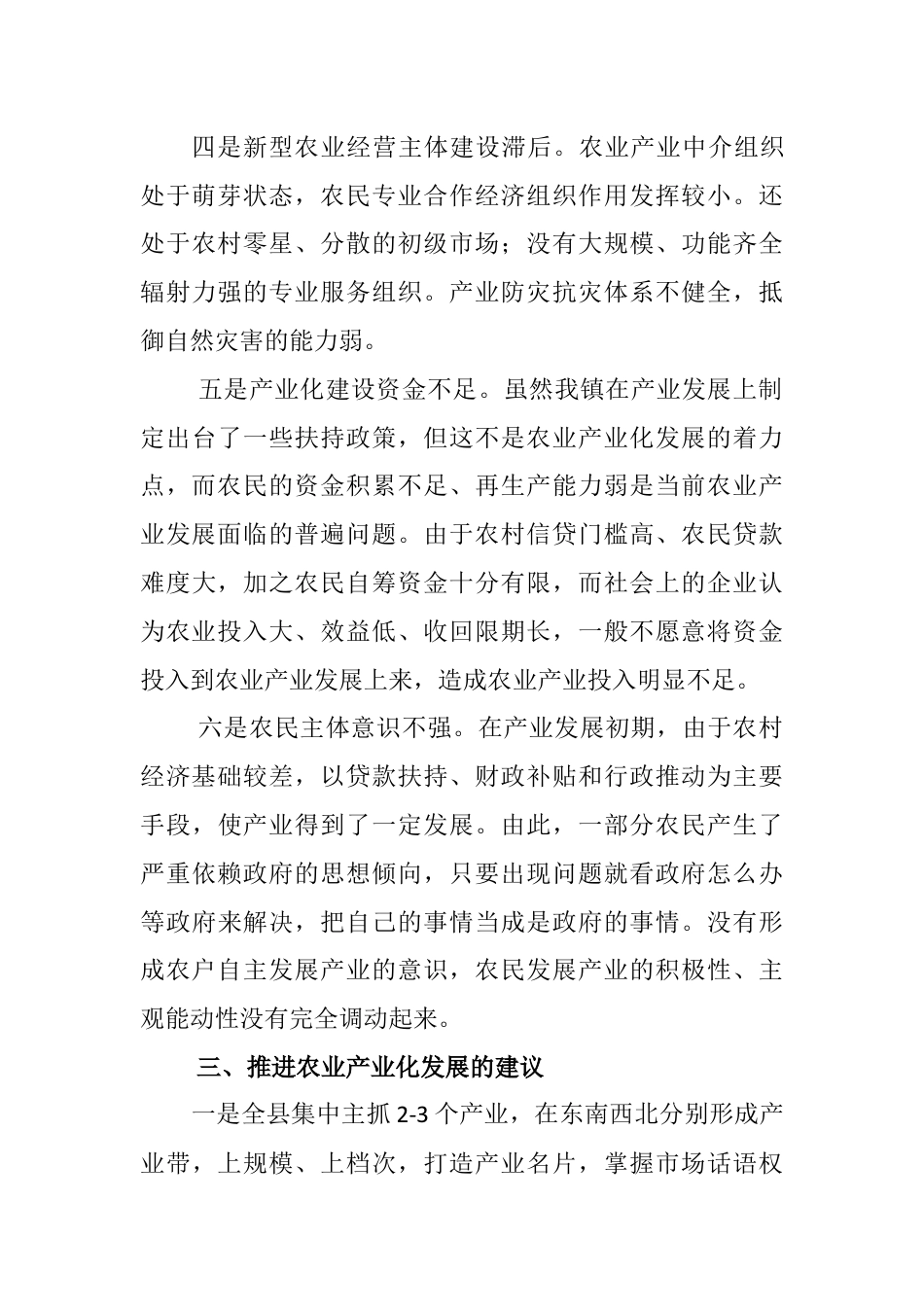 农业产业发展研讨发言_第3页