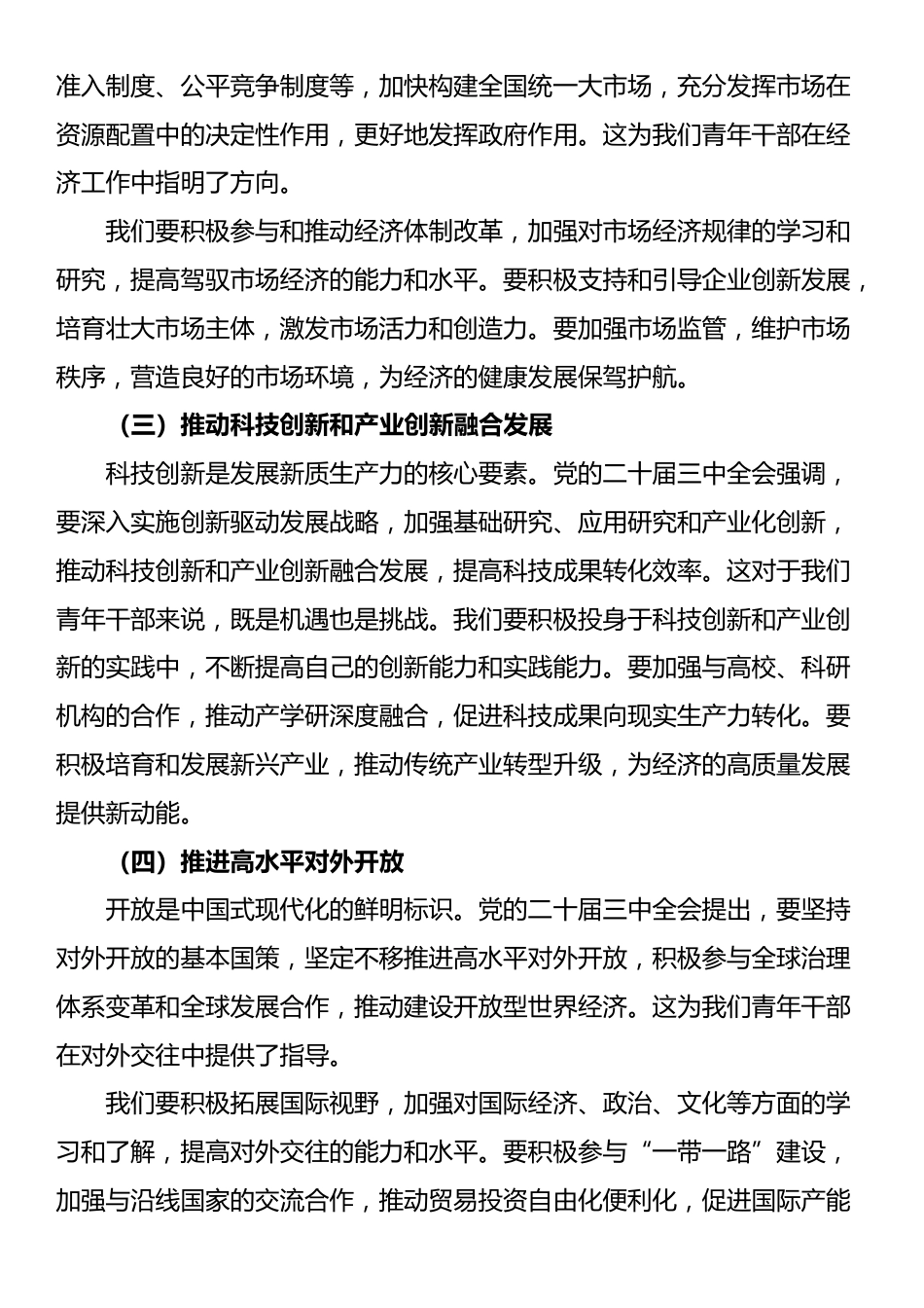 青年干部在学习党的二十届三中全会座谈会上的发言_第3页