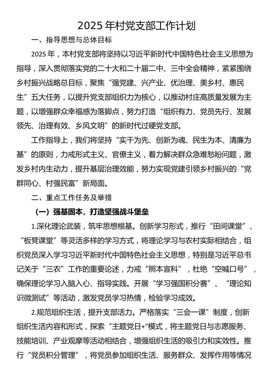 2025年村党支部工作计划_第1页