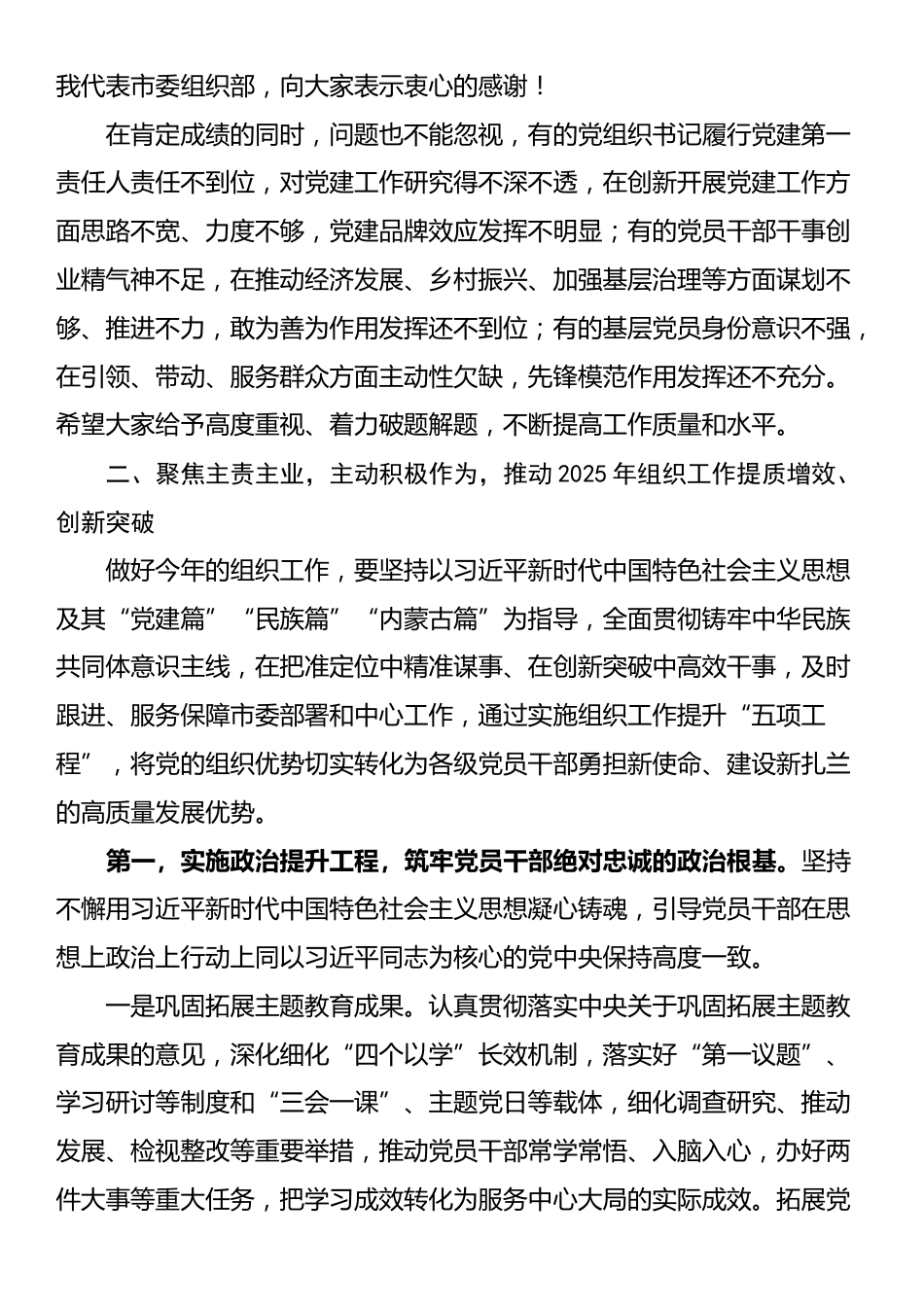 组织部长在2025年组织工作会议上的讲话_第3页