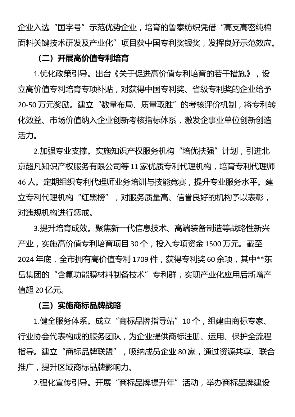2025年全市知识产权工作推进会上的交流发言_第2页
