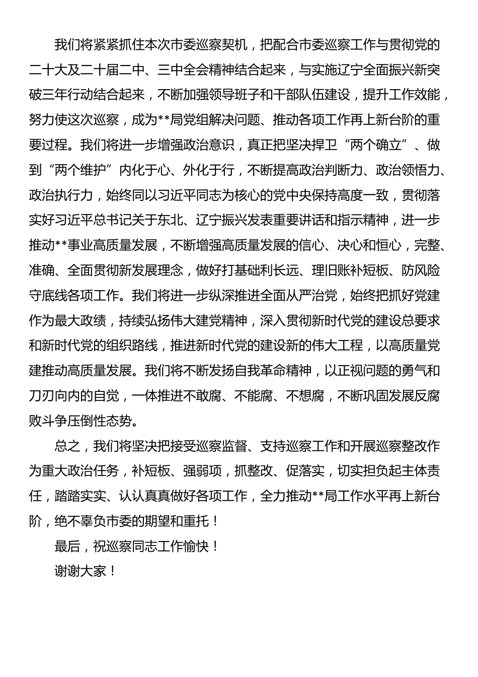 被巡察党组织表态发言_第3页