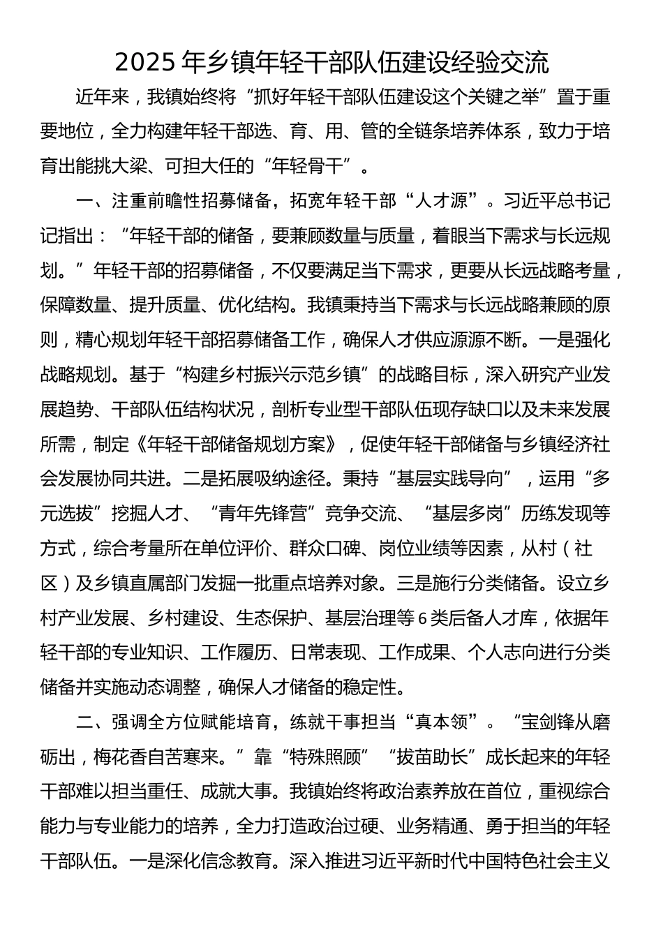 2025年乡镇年轻干部队伍建设经验交流_第1页