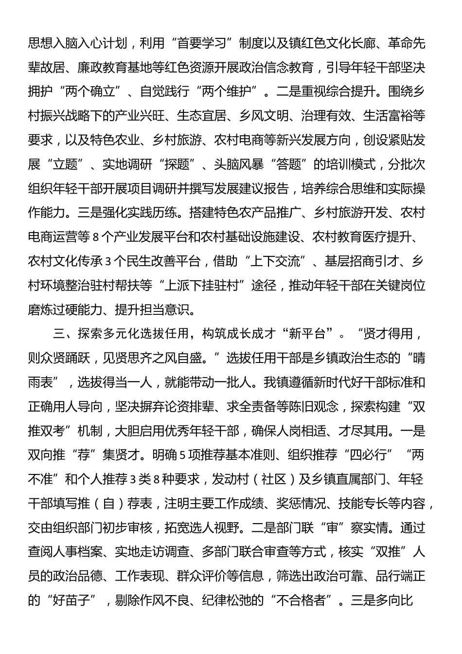 2025年乡镇年轻干部队伍建设经验交流_第2页