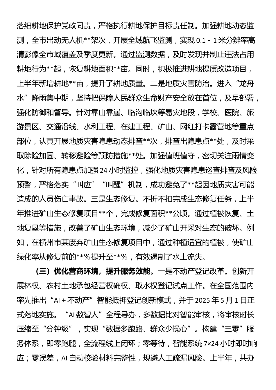 市自然资源局2025年上半年工作情况总结_第2页