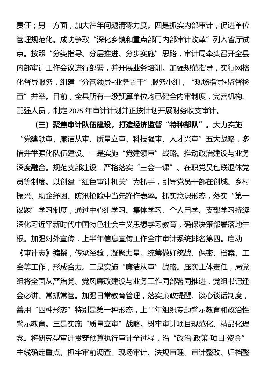 县审计局2025年上半年工作总结_第3页