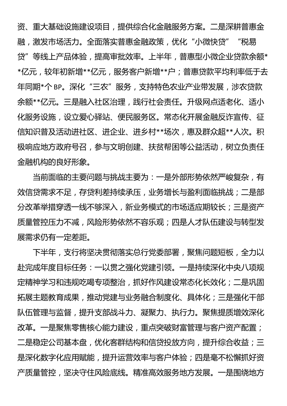 支行2025年上半年工作总结暨下半年工作计划_第3页