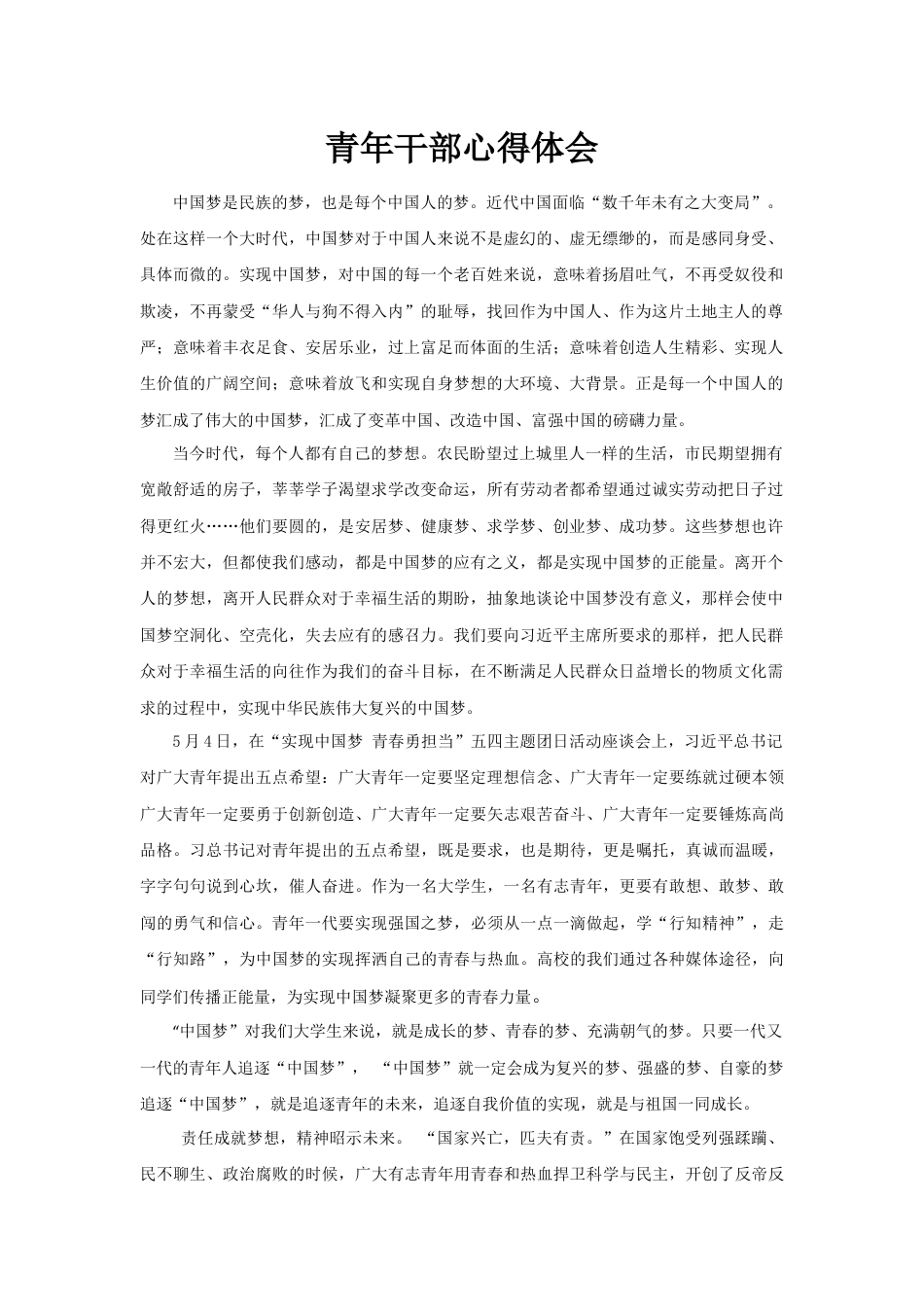 青年干部演讲稿_第1页