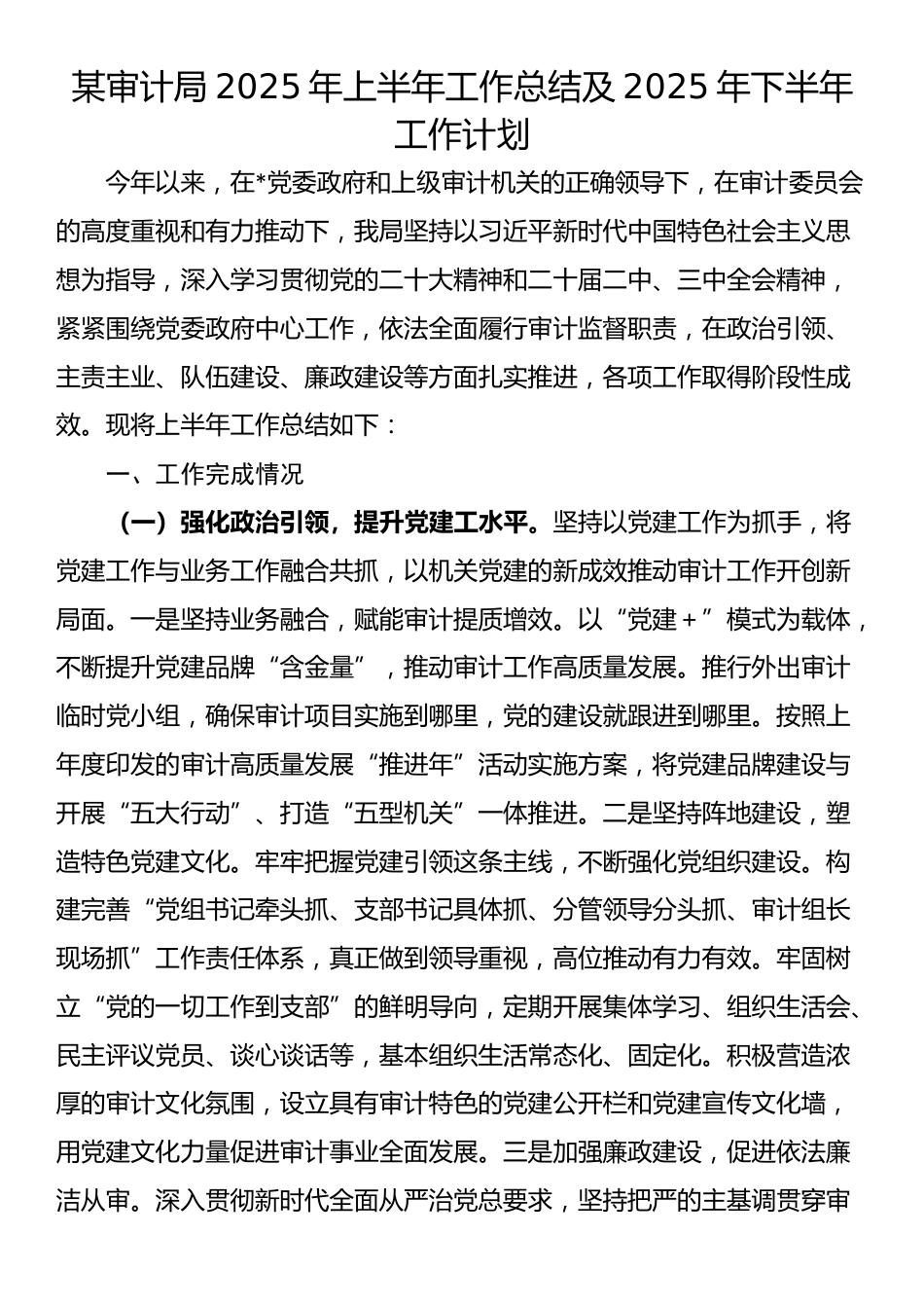 某审计局2025年上半年工作总结及2025年下半年工作计划_第1页