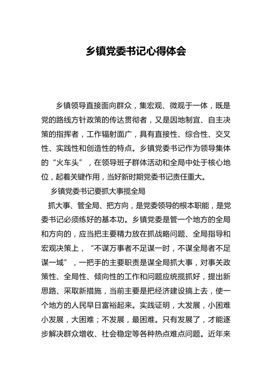 乡镇党委书记心得体会_第1页