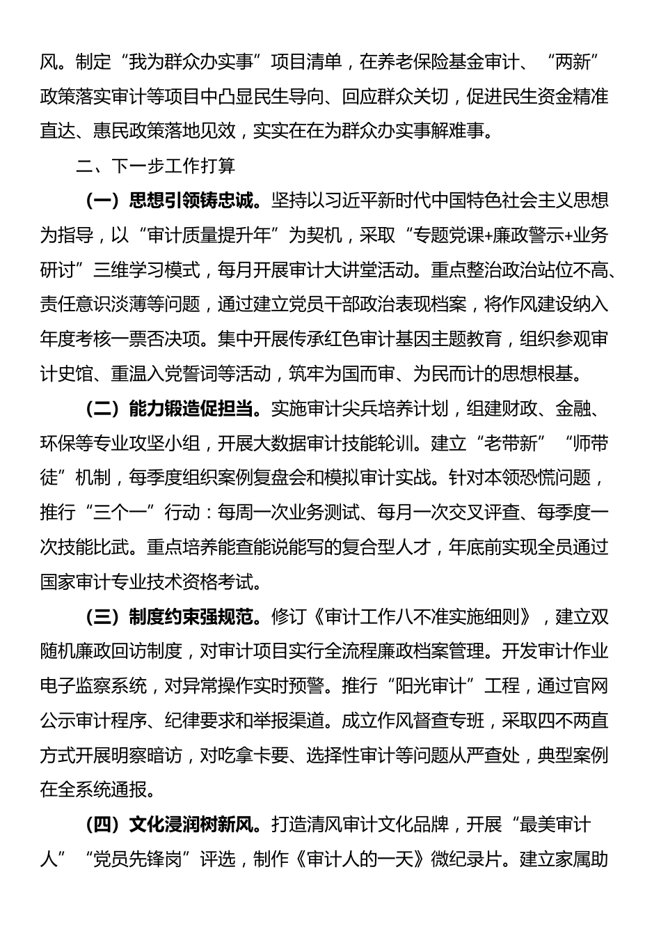 市审计局党组关于推进审计干部队伍作风建设工作情况的报告_第3页