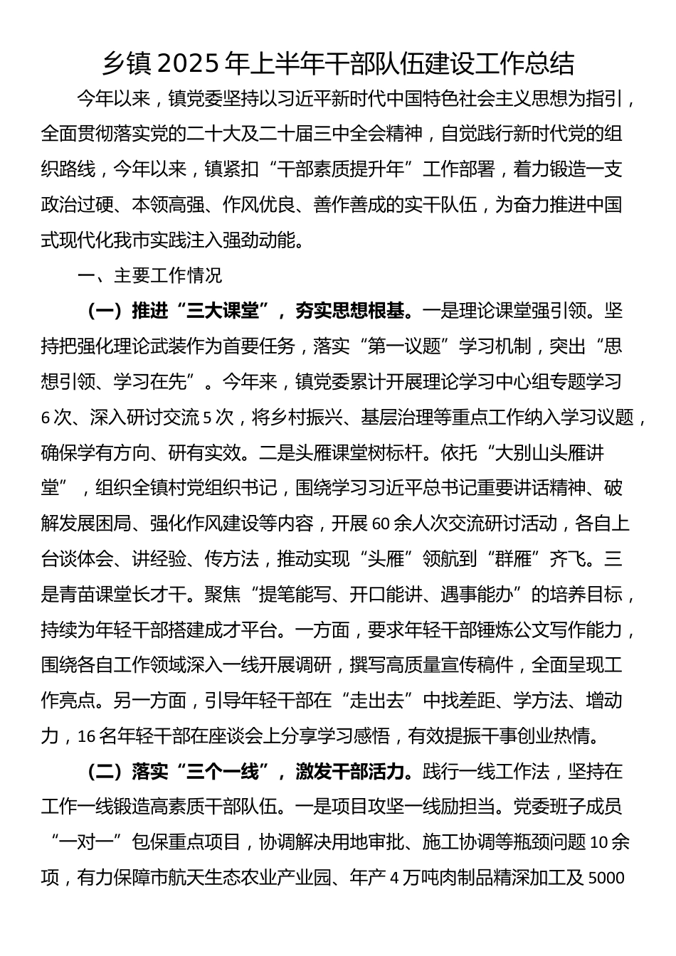 乡镇2025年上半年干部队伍建设工作总结_第1页