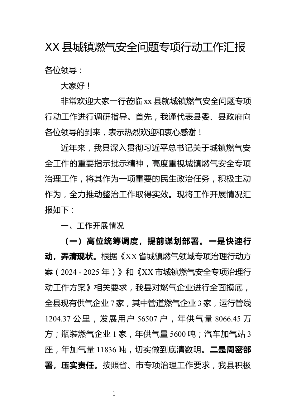 XX县城镇燃气安全问题专项行动工作汇报_第1页