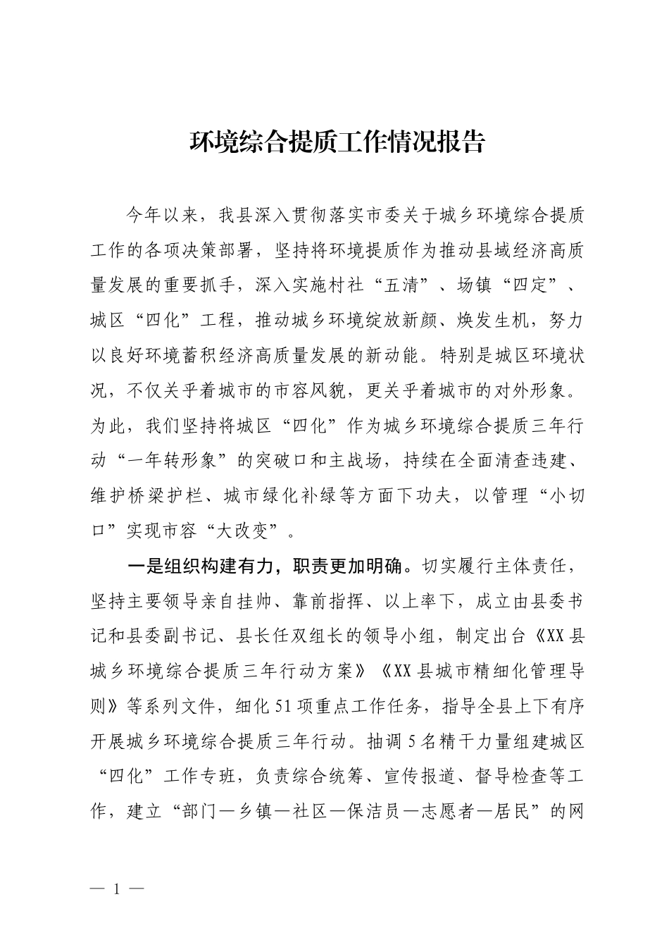 环境提质工作报告_第1页