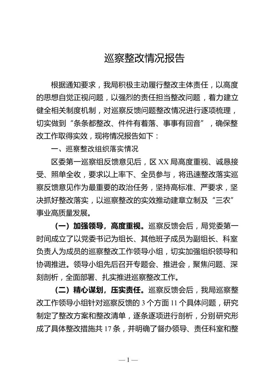 巡察整改情况报告_第1页