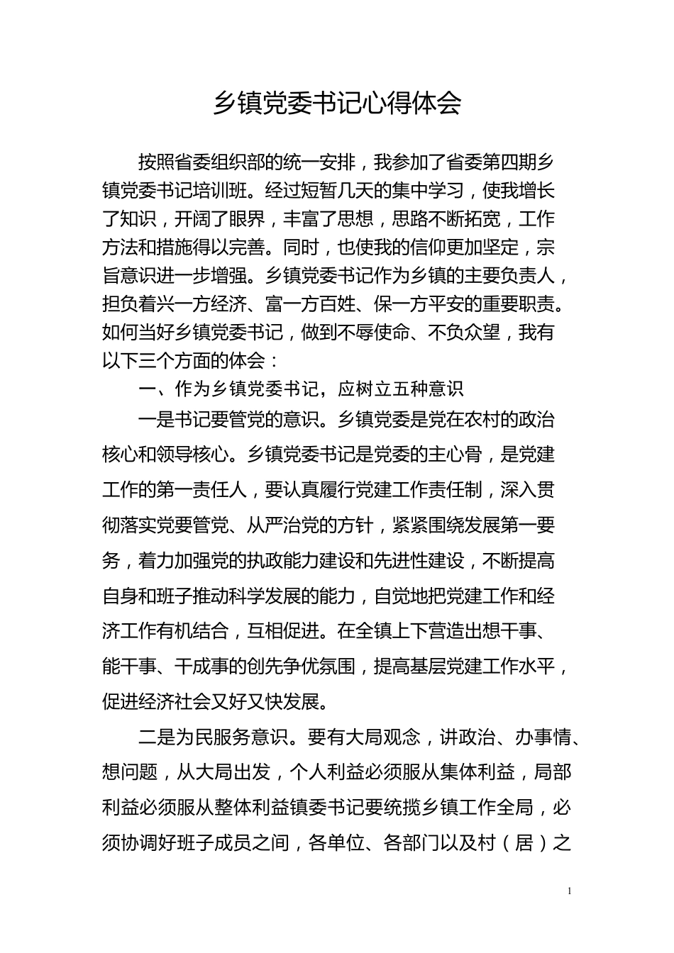 乡镇党委书记心得体会_第1页