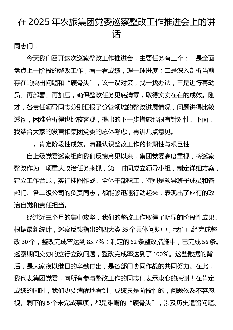 在2025年农旅集团党委巡察整改工作推进会上的讲话_第1页