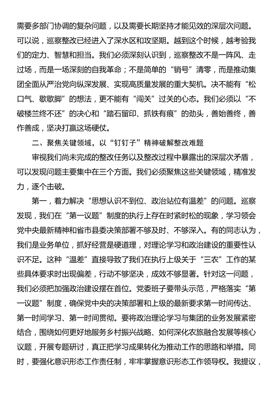 在2025年农旅集团党委巡察整改工作推进会上的讲话_第2页