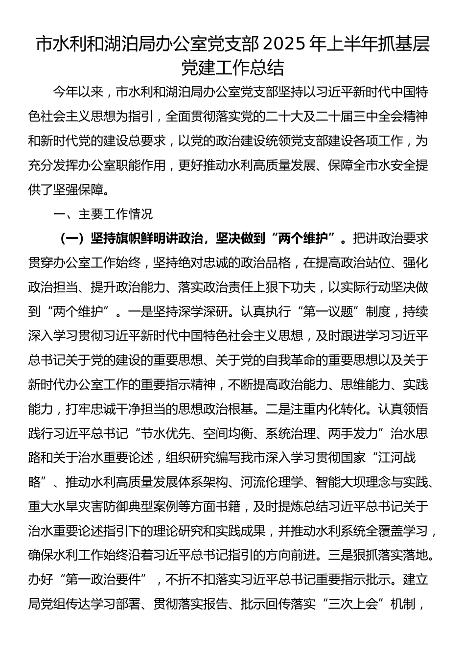 市水利和湖泊局办公室党支部2025年上半年抓基层党建工作总结_第1页