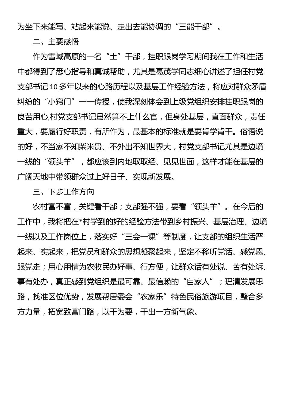 乡镇村（居）“挂职跟岗大练兵 拼搏奋斗正当时”学习感悟_第2页