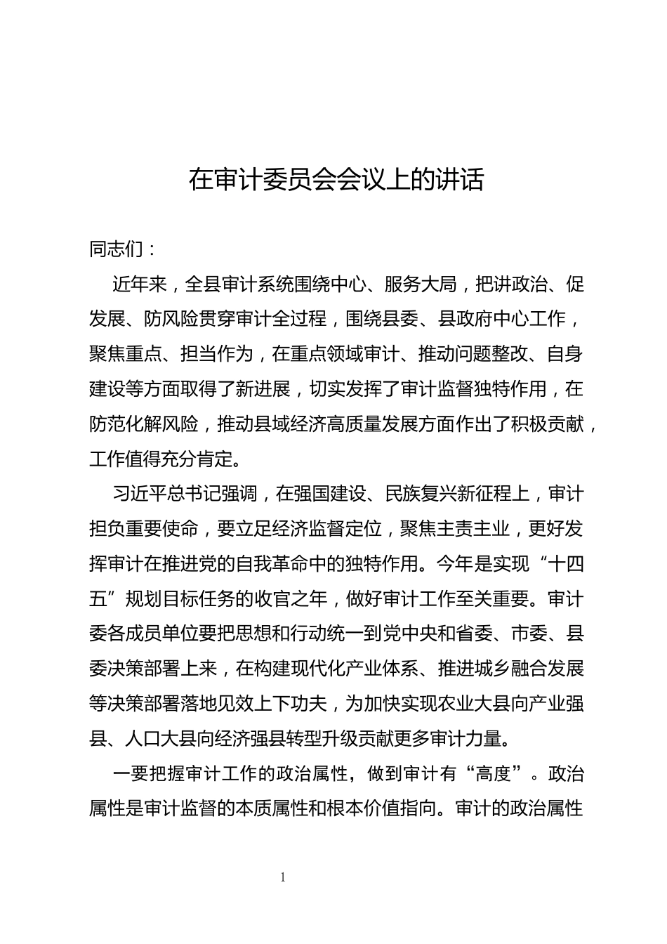 审计委员会会议上的讲话_第1页