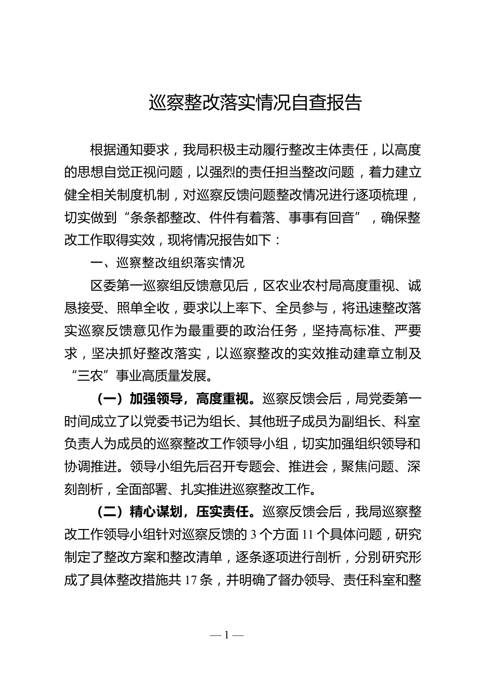 巡察整改落实情况自查报告_第1页