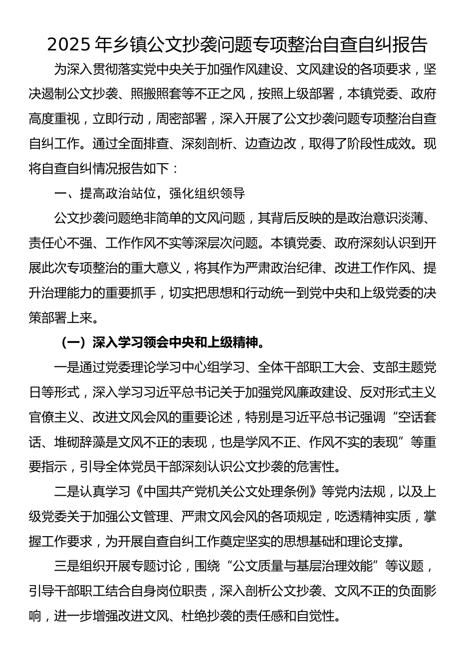 2025年乡镇公文抄袭问题专项整治自查自纠报告_第1页