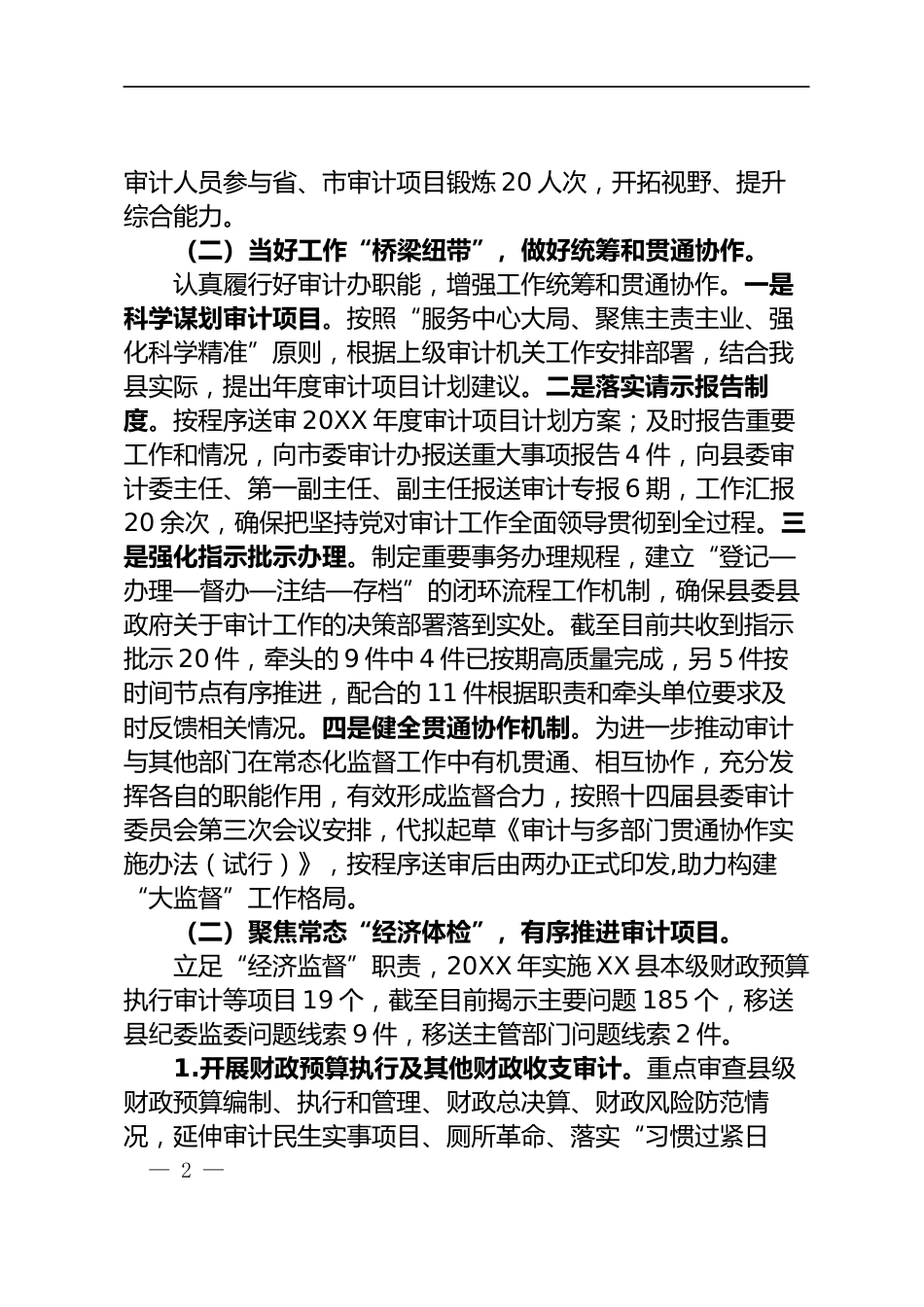 审计局工作总结_第2页