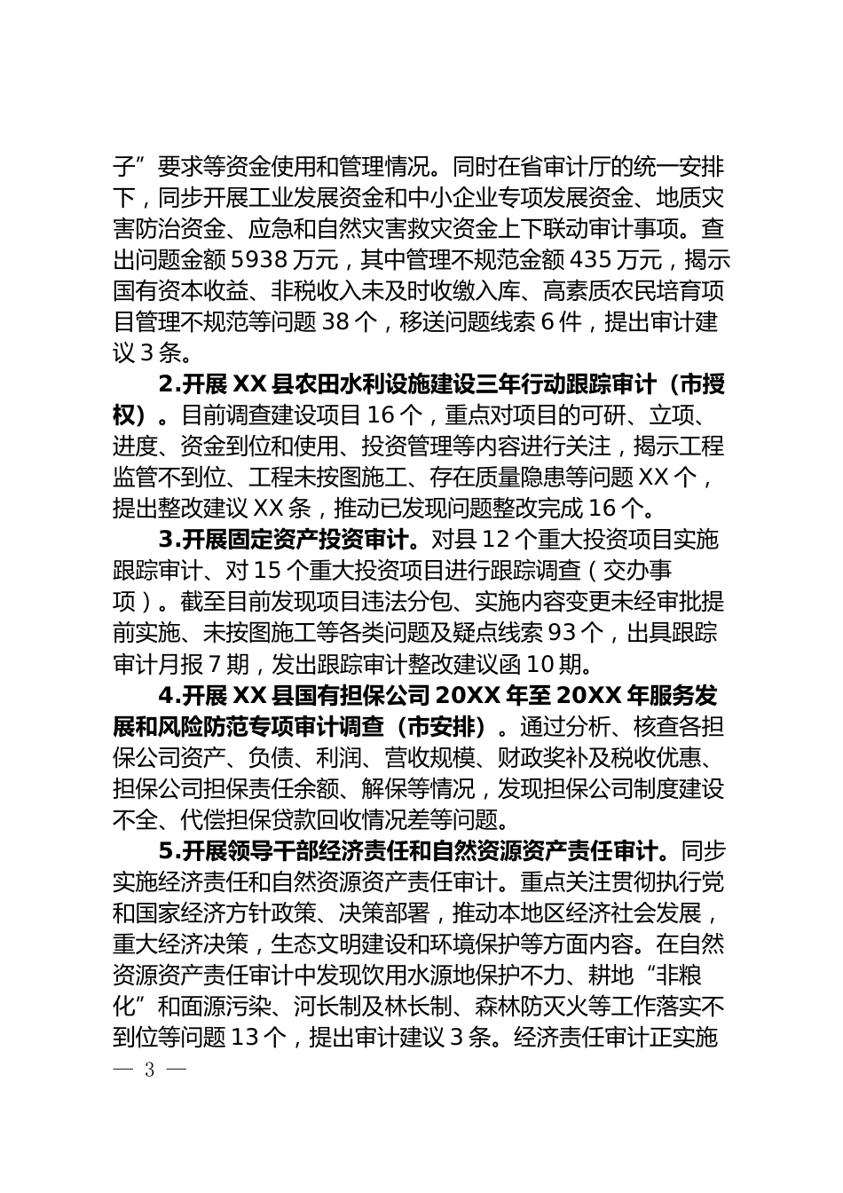 审计局工作总结_第3页