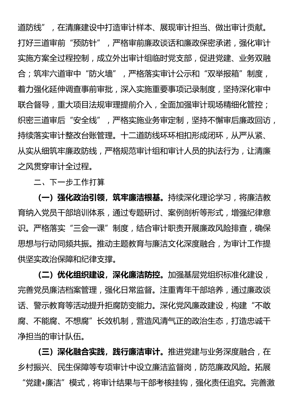 市审计局2025年述职述廉述党建工作报告_第3页