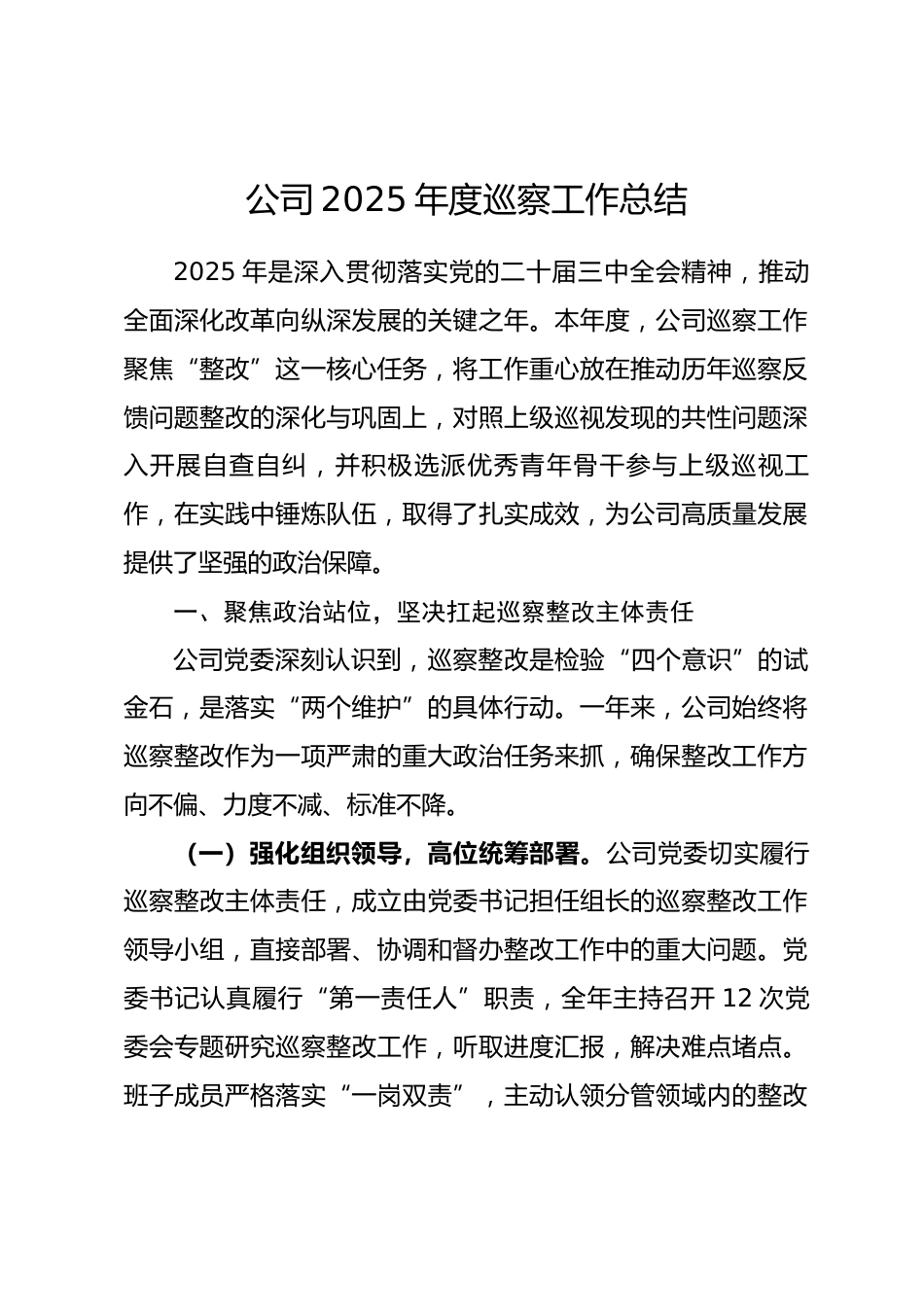 公司2025年度巡察工作总结_第1页
