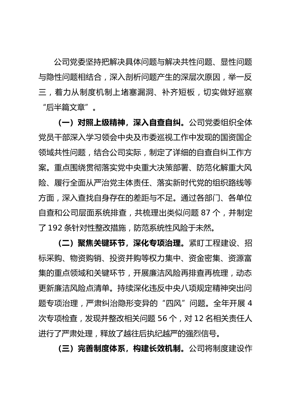 公司2025年度巡察工作总结_第3页