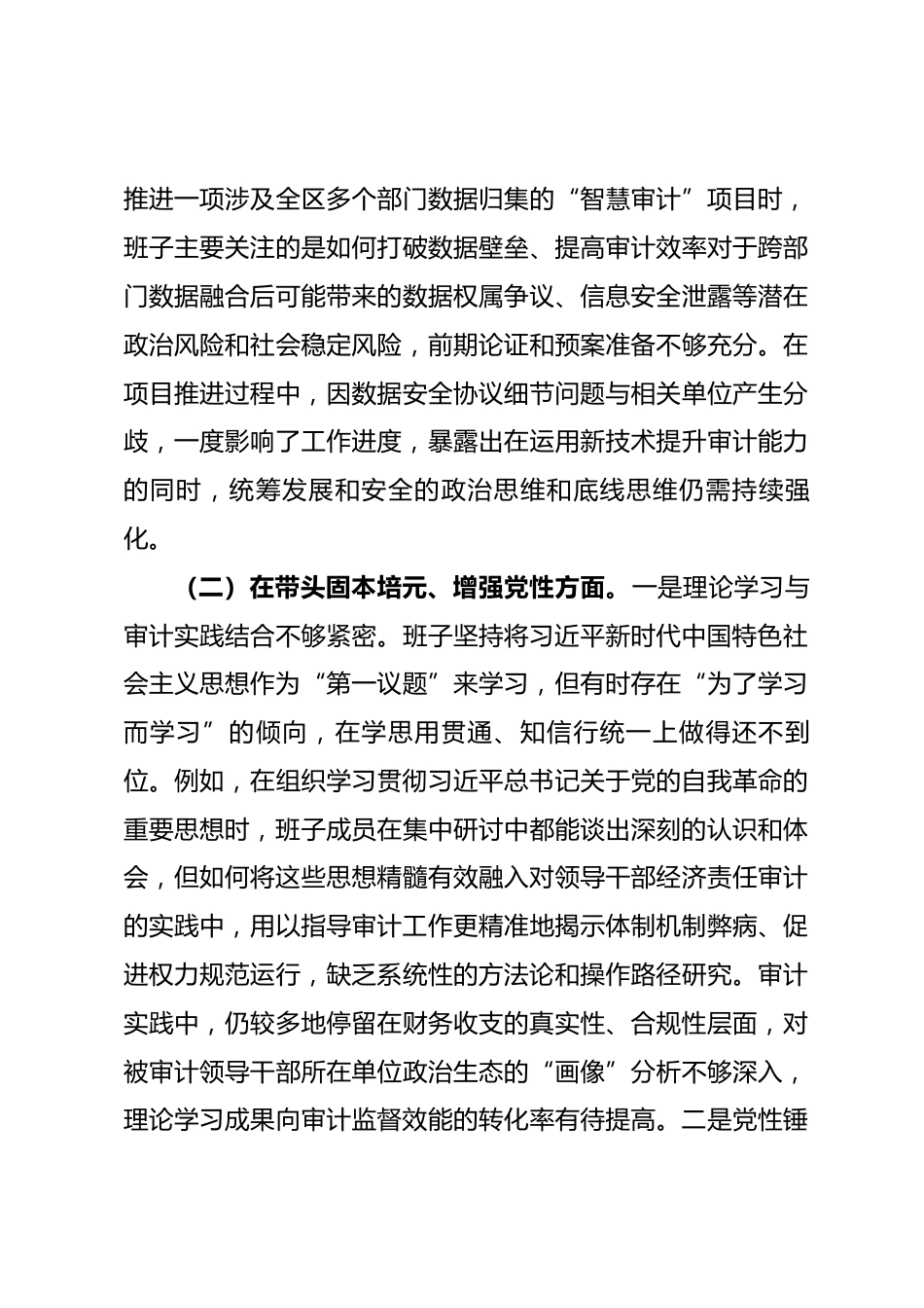 区审计局2025年度民主生活会班子对照检查材料（五个带头）_第3页