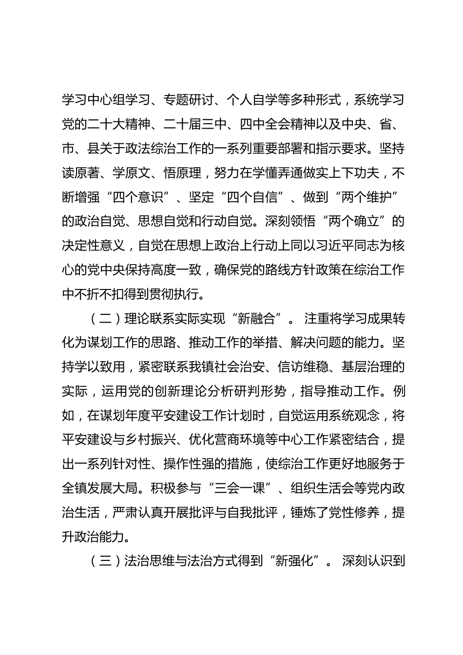 镇综治办副科级专职副主任2025年度个人述职报告_第2页