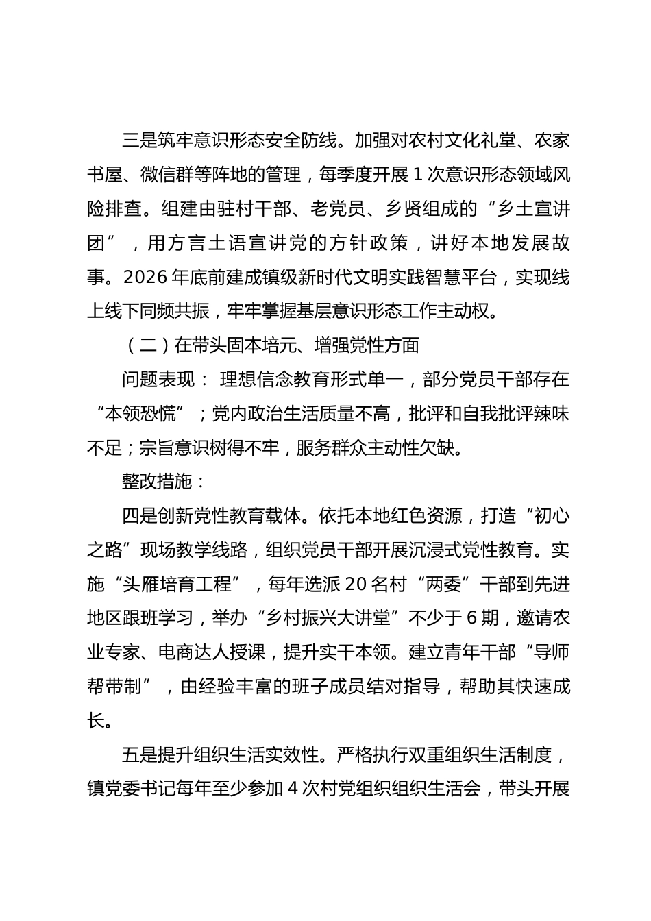 2025年度镇民主生活会查摆问题整改方案_第3页