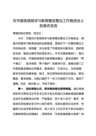 在市委政绩观学习教育整改整治工作推进会上的表态发言